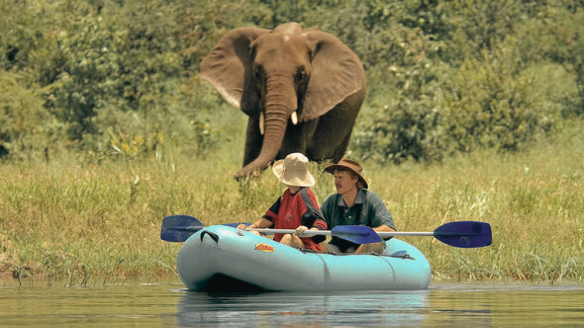 Zambezi Half-Day Canoe Trip