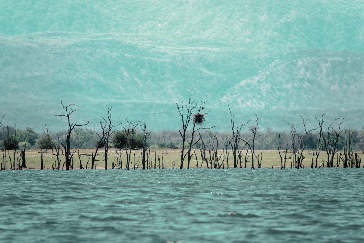 Lake Kariba Zimbabwe sailing African skies wildlife houseboat luxury
