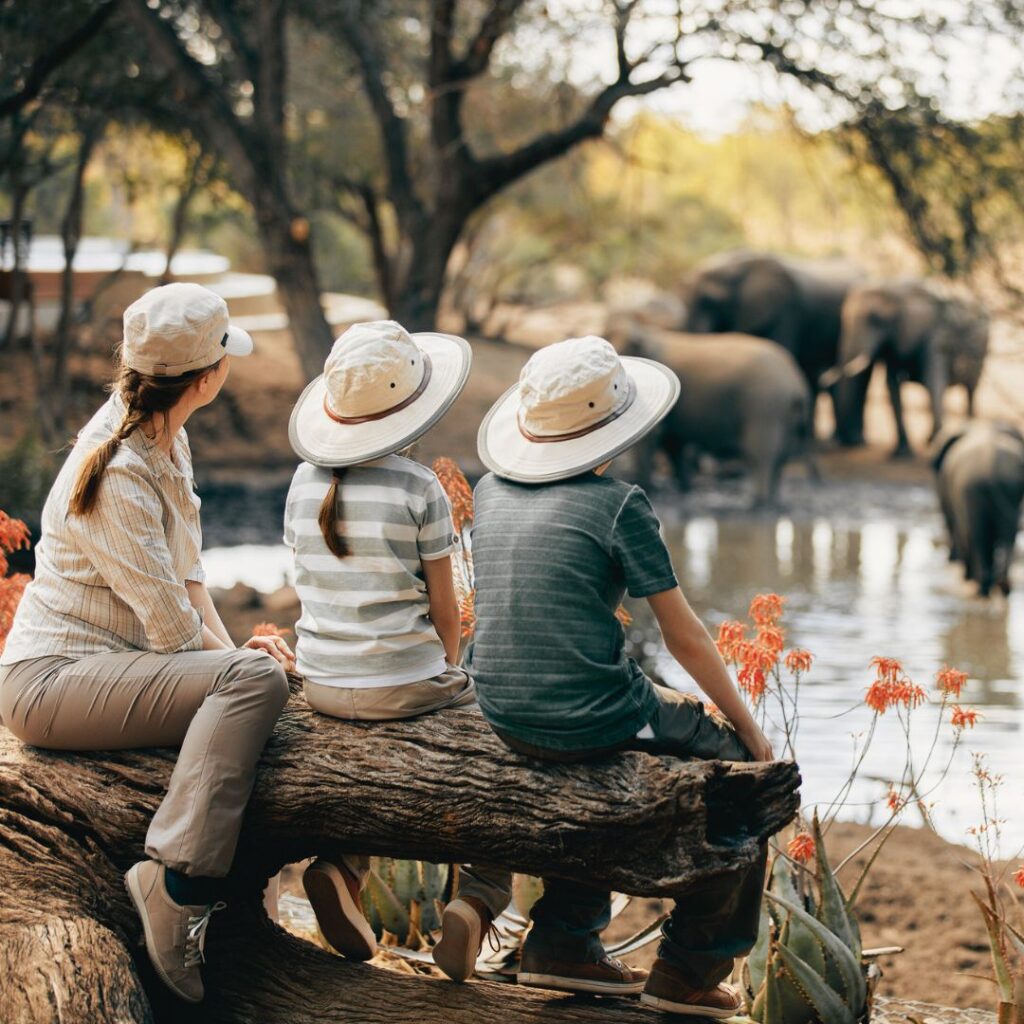 Family Safari & Falls