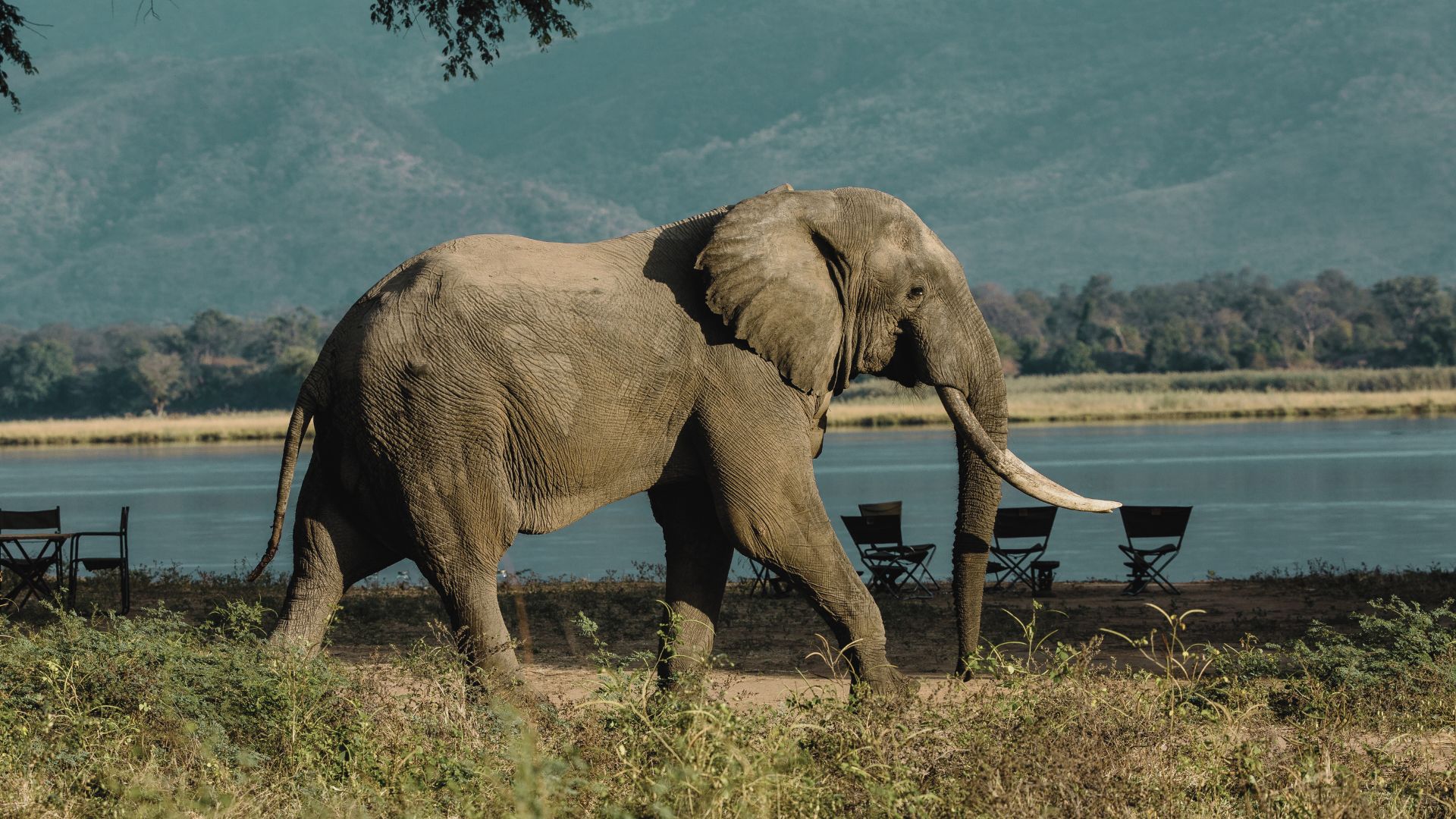 _Kariba Waterways & Wildlife Sailing Safari
