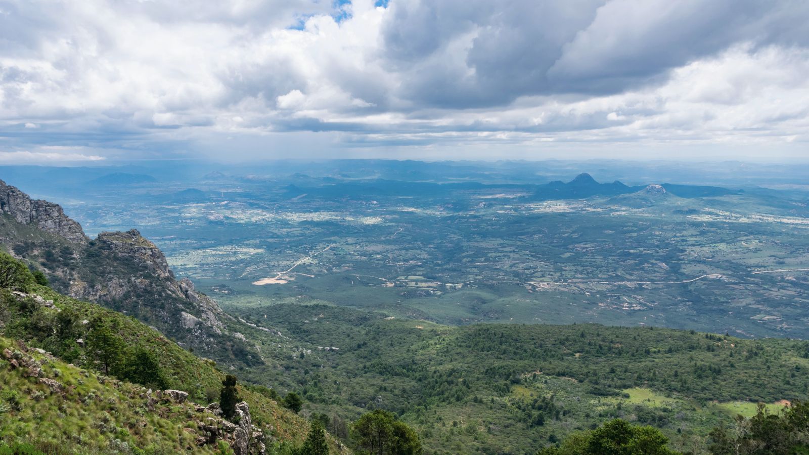 Eastern Highlands — Forest and cloud in the highlands.