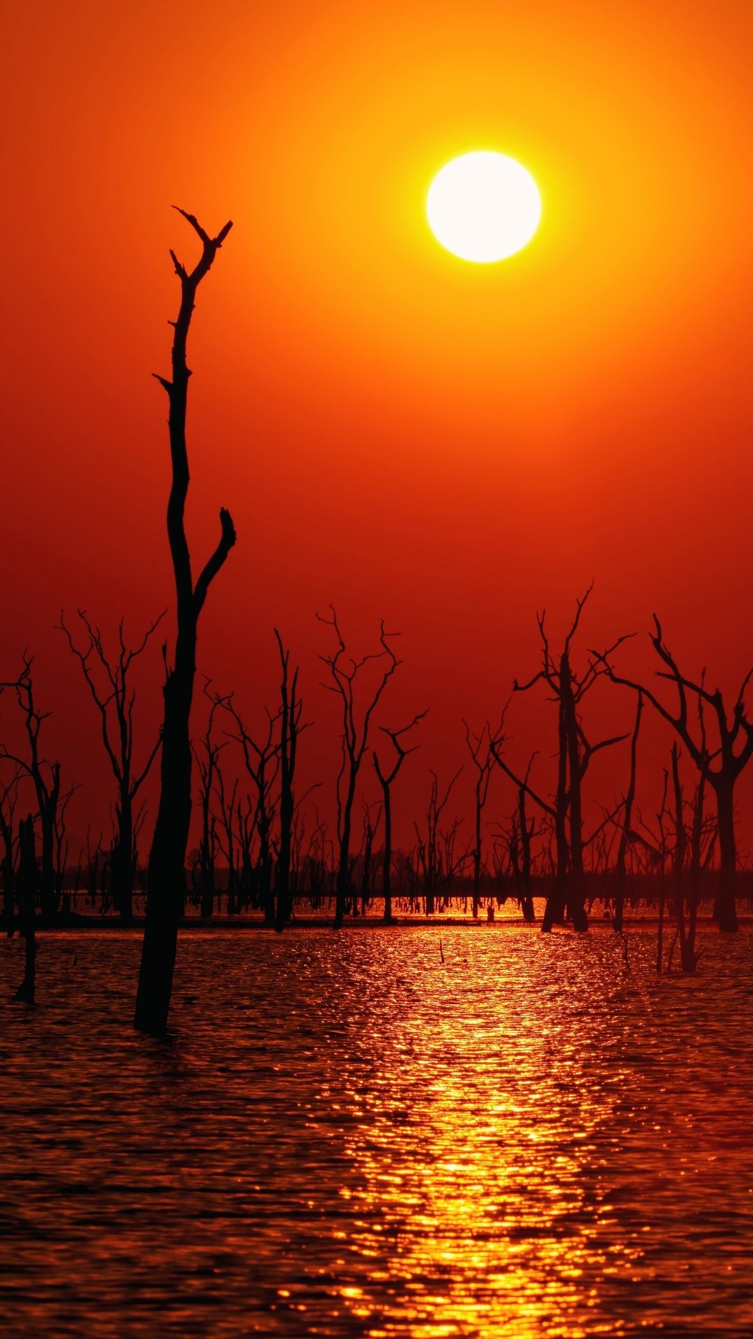 Lake Kariba Zimbabwe sunset inland sea houseboat fishing tiger fish