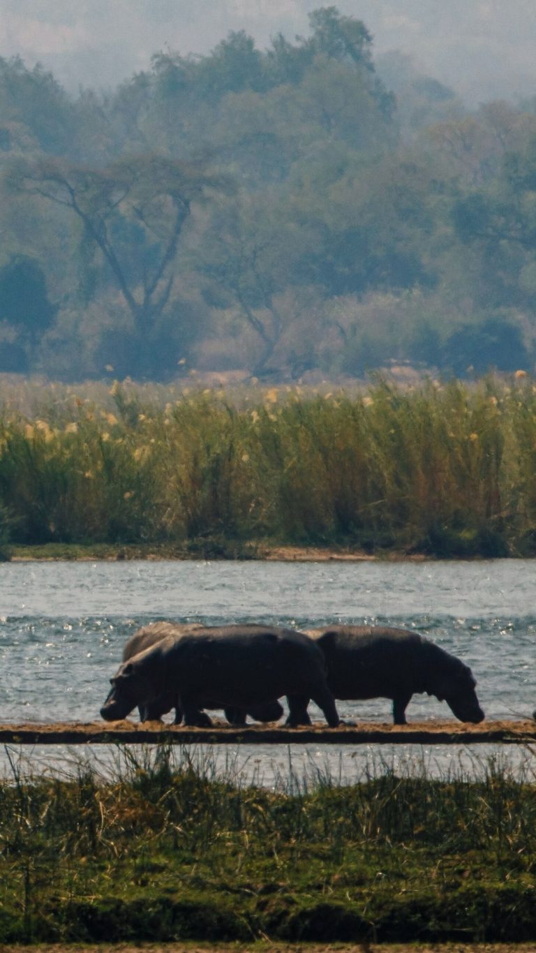Day 9: Mana Pools