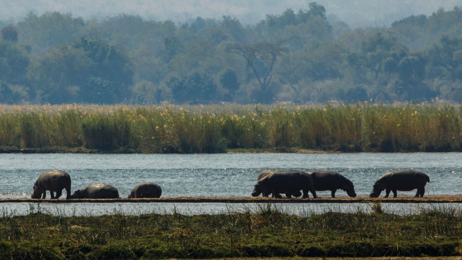 Mana Pools Zimbabwe wild Zambezi River canoe safari walking UNESCO