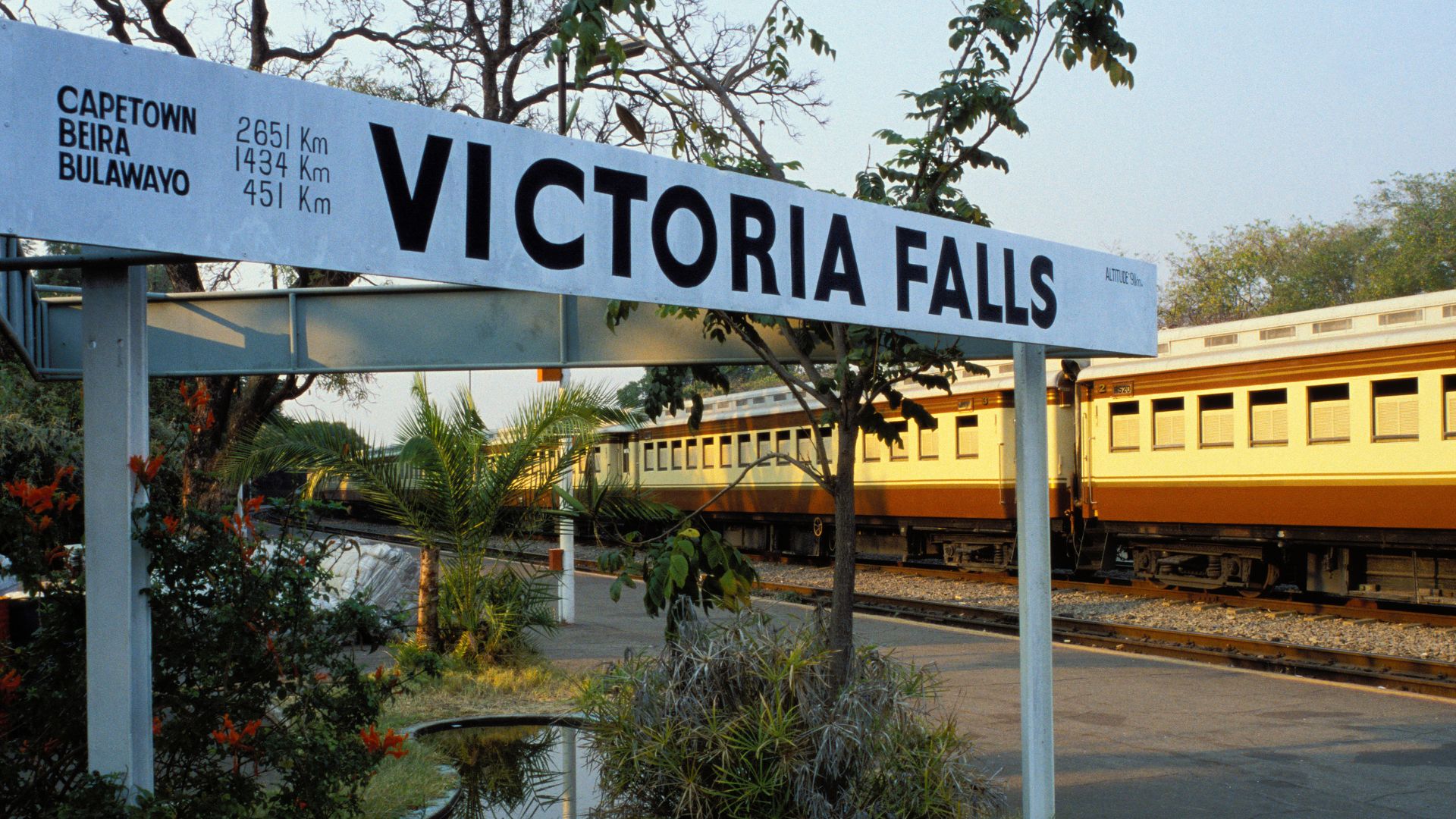 Steam Train Dinner Experience