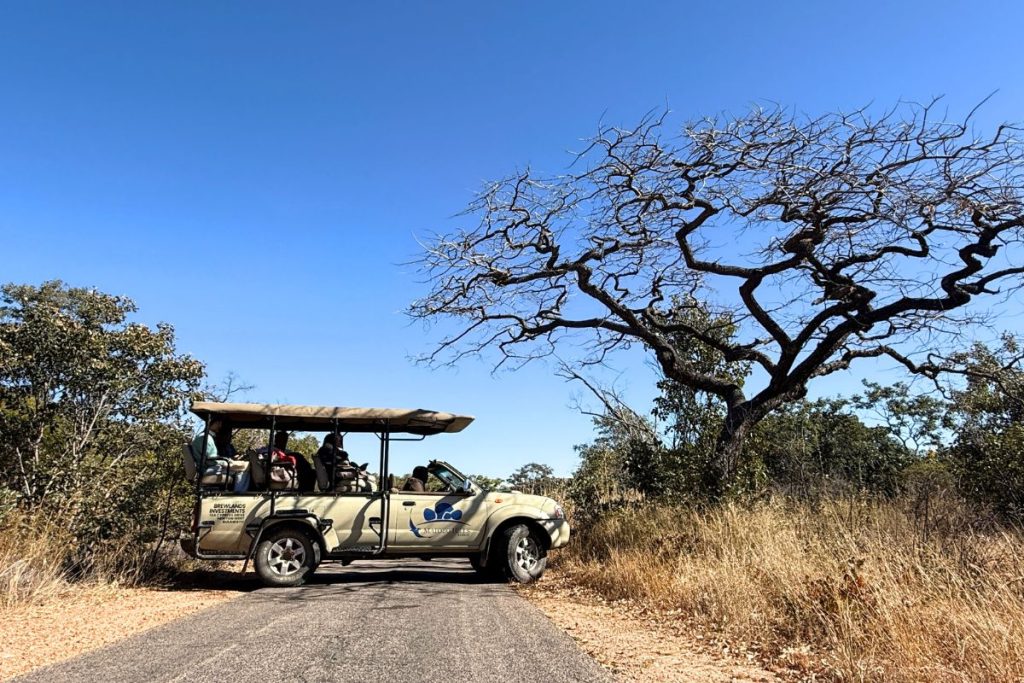 A safari vehicle on a bush track at dawn, Matobo Hills
