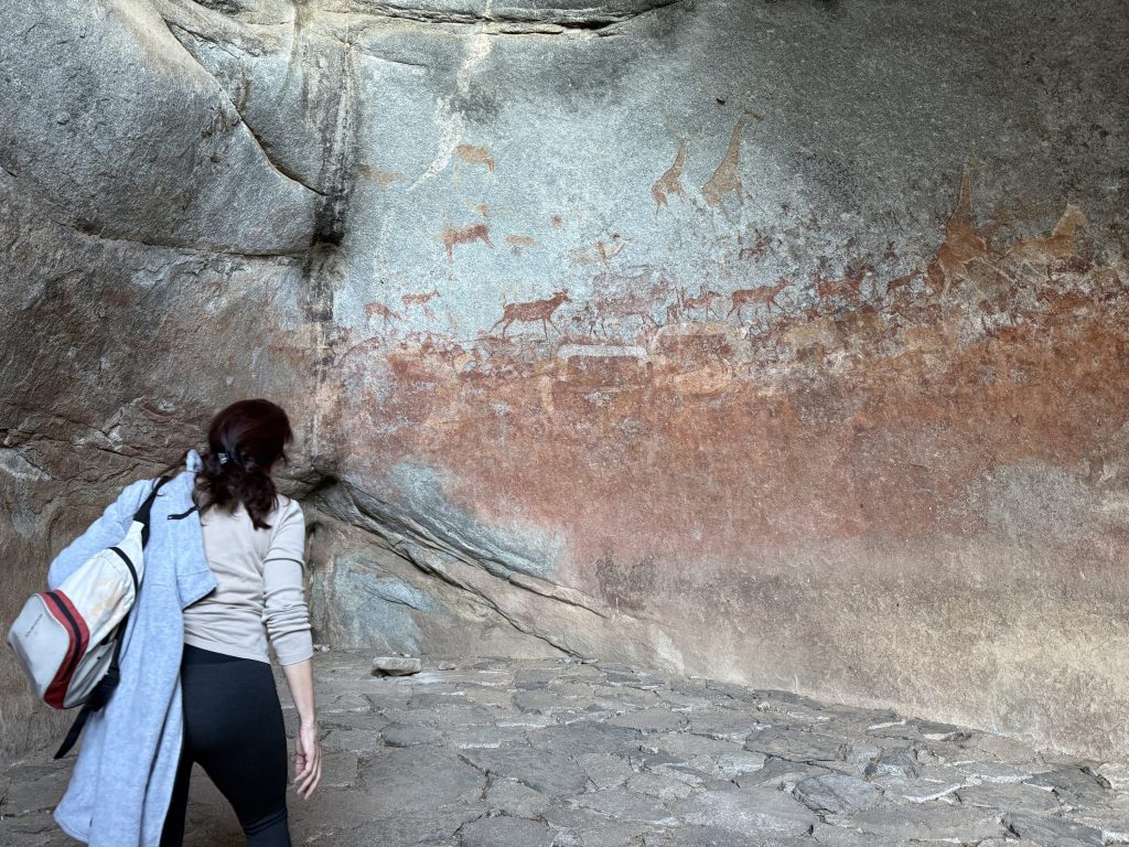 Guest studying the San rock-art frieze inside Nswatugi Cave, Matobo Hills