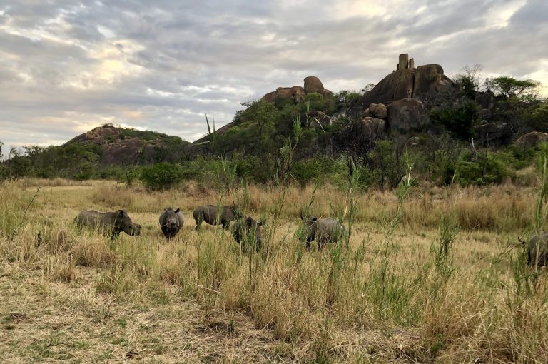 Matobo Through the Lens