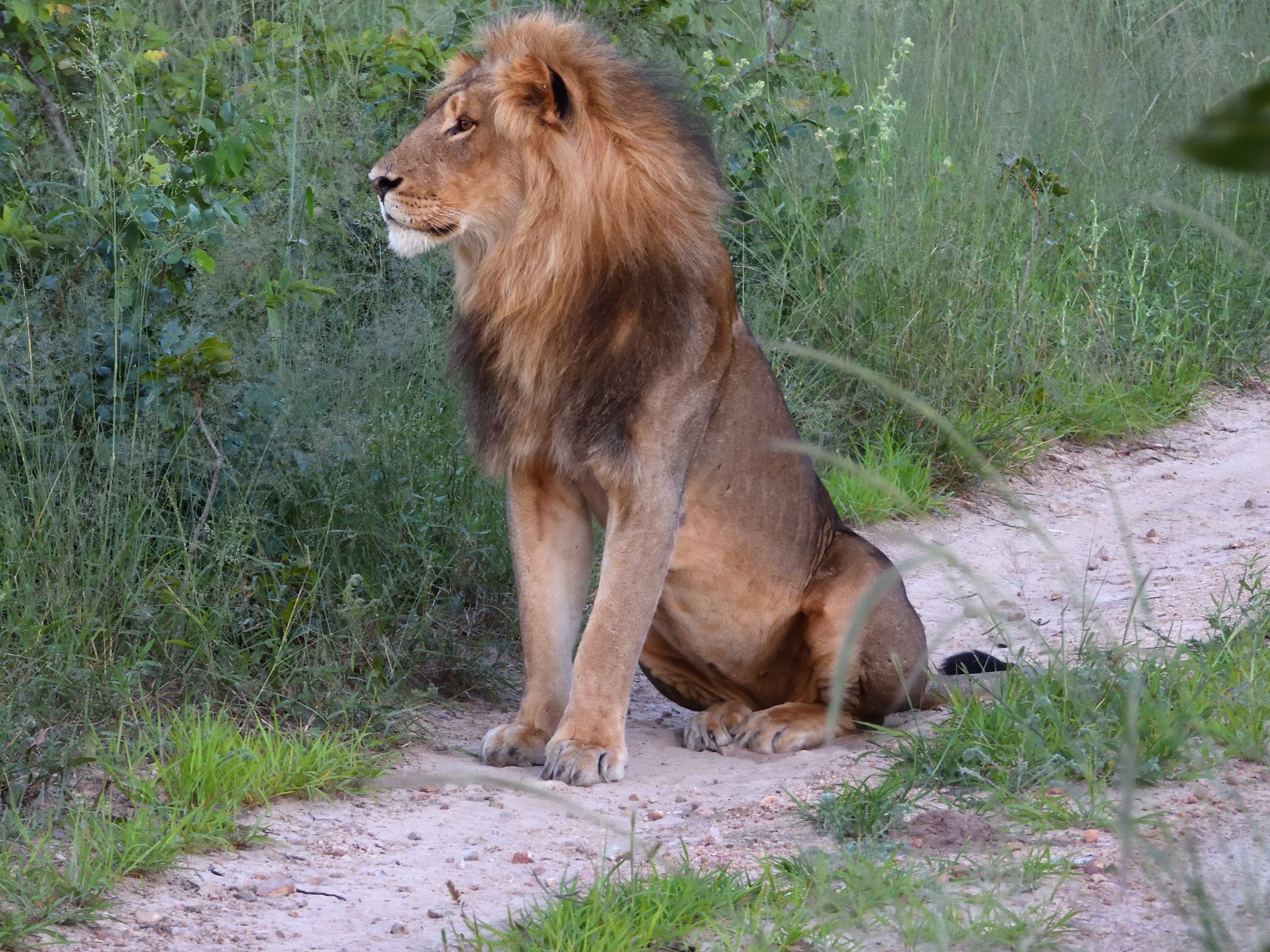 Hwange National Park, Zimbabwe