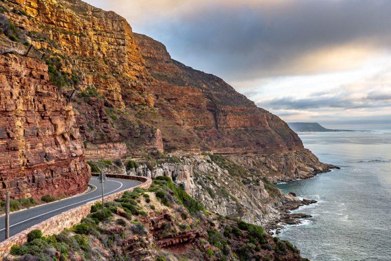Day 7: The Cape Peninsula