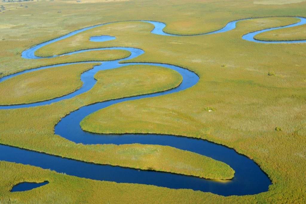 A winding Okavango Delta channel from the air