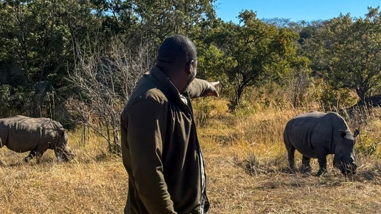 Day 11: Matobo Hills