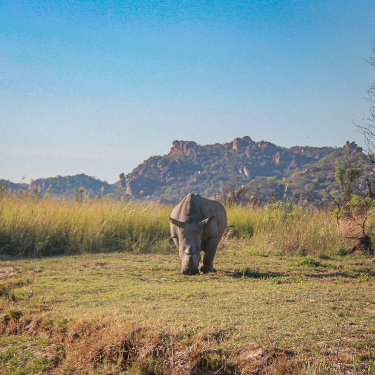 Proper Matobos, Hwange, Falls & Kariba