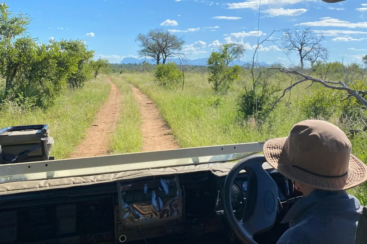 Masuwe safari — A quiet game-drive track through the bush.
