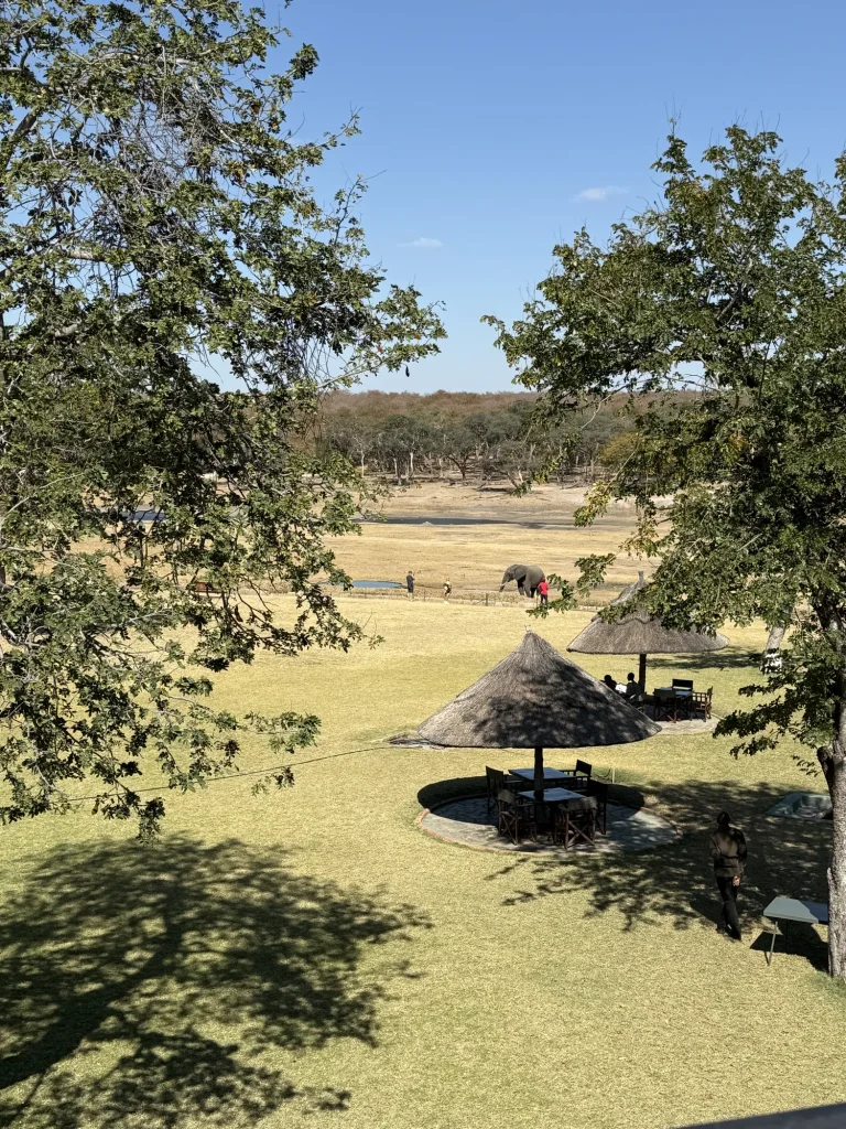 Hwange Safari Lodge