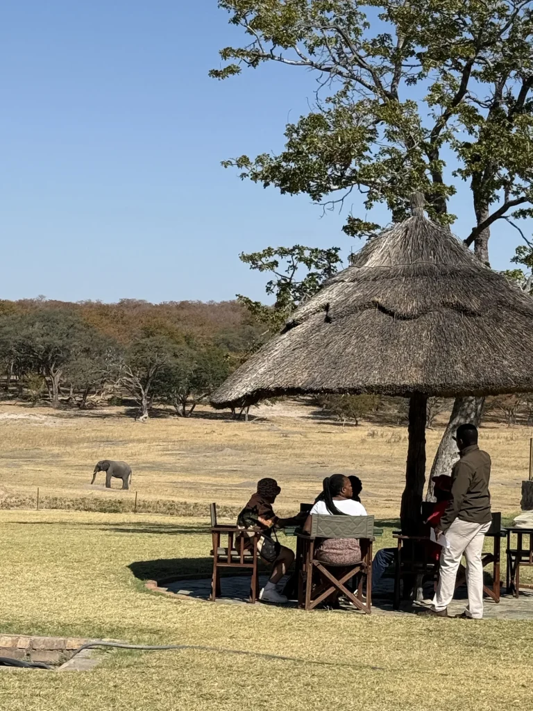 Hwange Safari Lodge