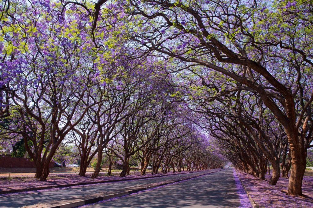 Harare, Zimbabwe
