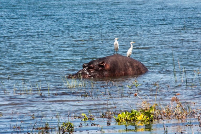 Day 6: Lake Kariba