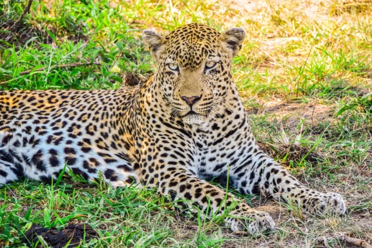 Day 4: Kruger National Park