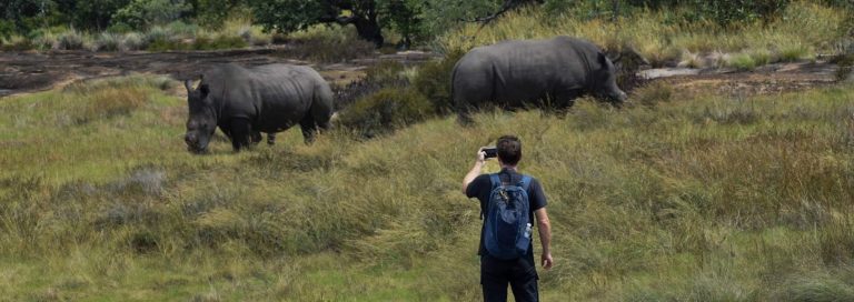 The Photographer’s Safari