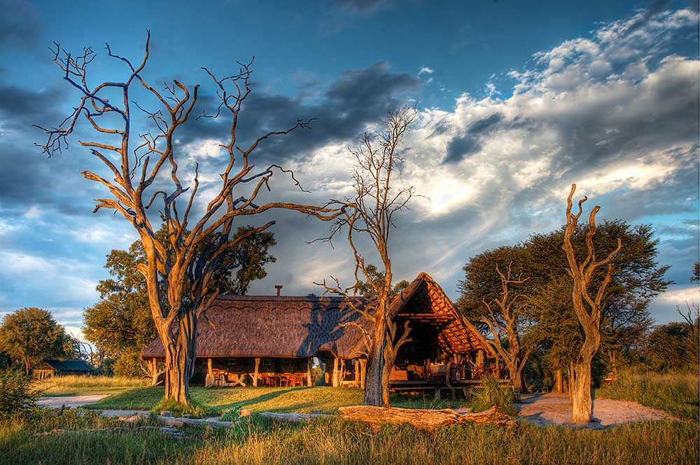 Bomani Tented Lodge: The camp under the trees