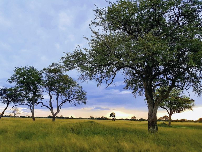 Hwange destination setting; accommodation to be confirmed