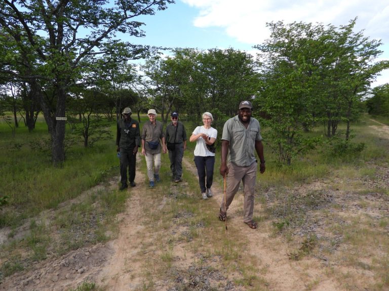 A guide and visitors walking along a woodland path