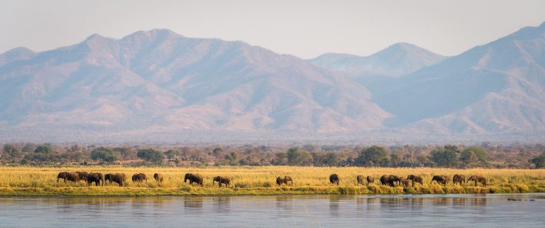 The Zambezi valley from the camp at Ruckomechi Camp