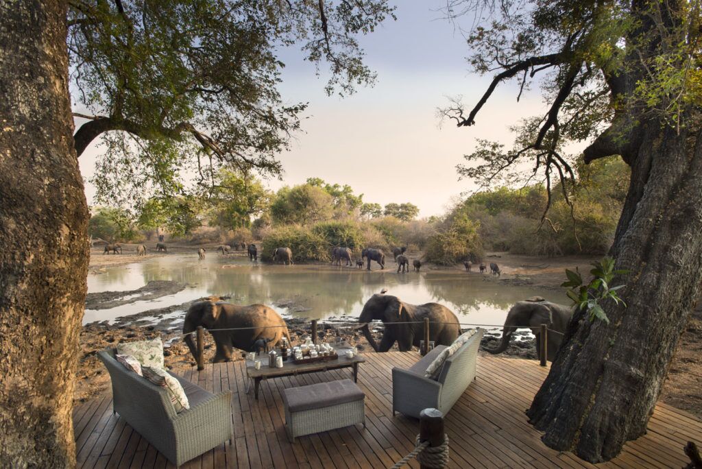 The guest deck at Kanga Camp overlooking elephants at Kanga Pan in Mana Pools